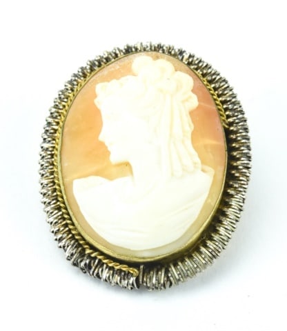 Hand Carved Natural Shell Cameo Brooch or Pendant: Hand Carved Natural Shell Cameo Brooch or Pendant. Measures just under 1.25 inches in length.