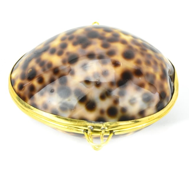 Natural Sea Shell Necklace Pendant / Pill Box: Natural Sea Shell Hinged Locket Necklace Pendant / Pill Box. Measures 2.25 inches in length.