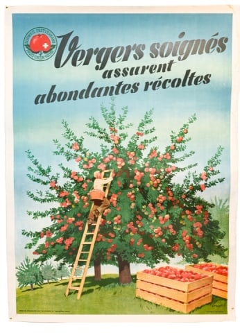 Vintage Vergers Soignes A. Trub & Cie Poster w COA (1 of 15)