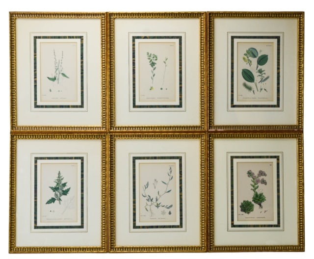 6 Antique Hand Colored Framed Botanicals (1 of 17)