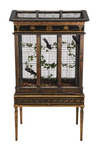 Neoclassical Style Architectural Birdcage (1 of 13)