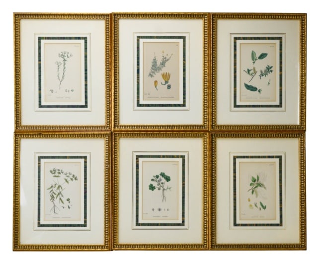 6 Antique Hand Colored Framed Botanicals (1 of 20)