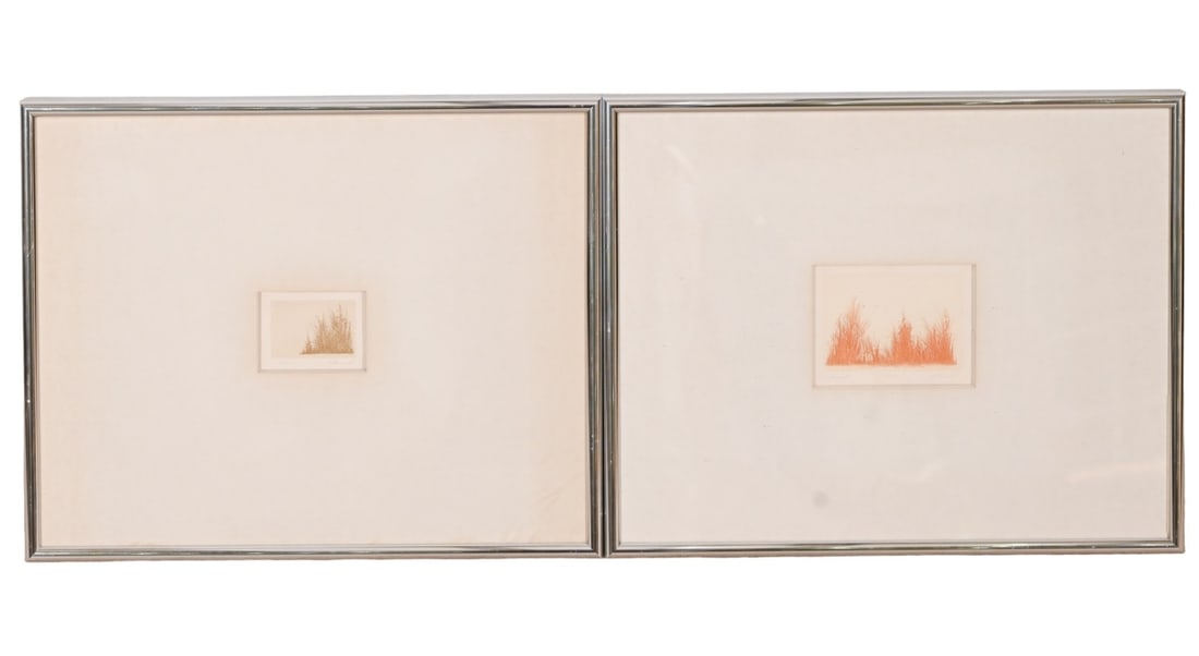 Pair Howard Lessnick Signed Botanical Etchings (1 of 11)