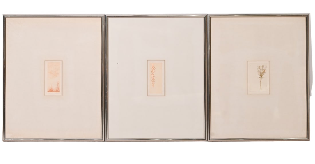 3 Howard Lessnick Signed Botanical Etchings (1 of 12)
