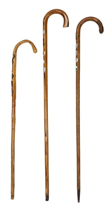 3 Vintage Walking Sticks with German Medallions (1 of 13)