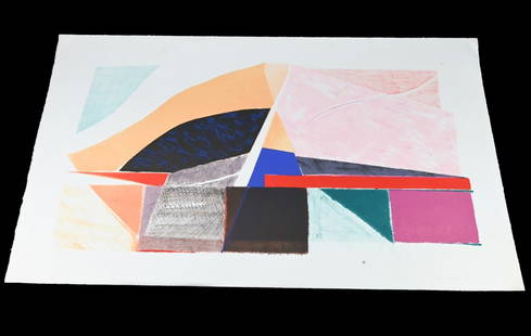 Susan Crile Expansion 1981 Signed Lithograph: Susan Crile Expansion 1981 Signed Colored Lithograph.Measures 25 inches x 42 inches.