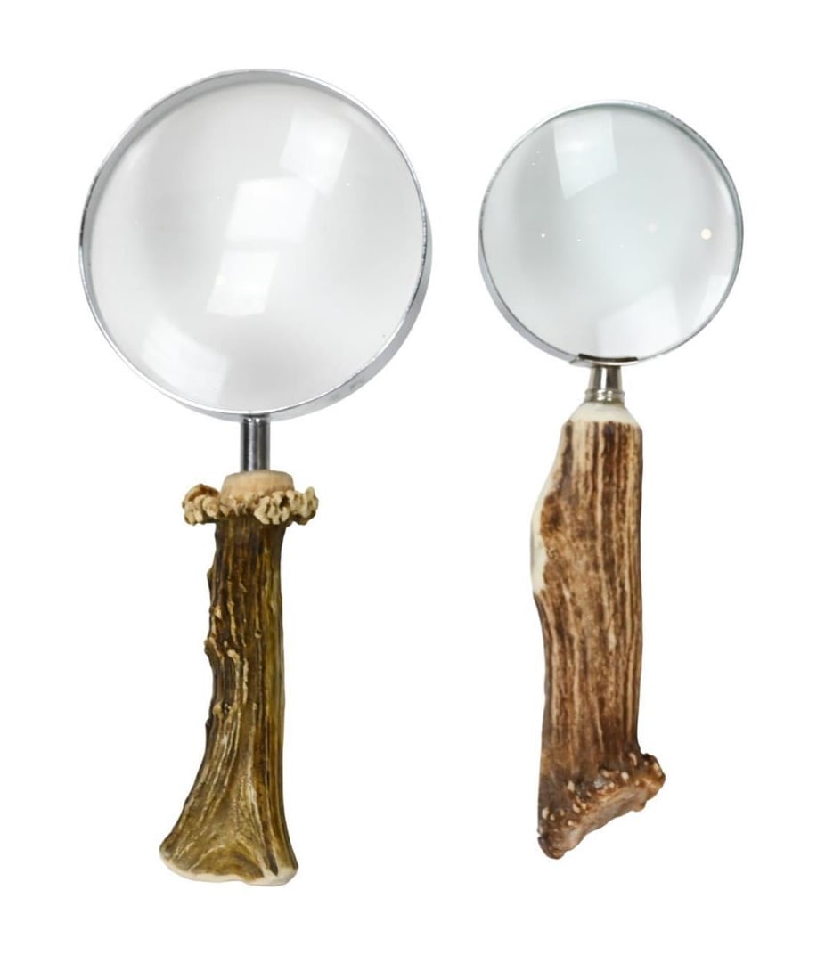 2 Antique Antler Handle Desk Top Magnifying Glass (1 of 6)