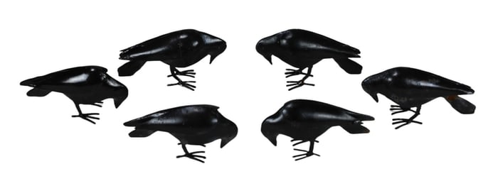 6 Wrought Iron Painted Raven Bird Statues