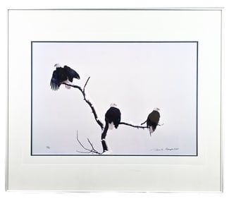 Thomas Mangelsen Signed American Eagle Photograph