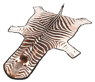 Zebra Style Hide Rug