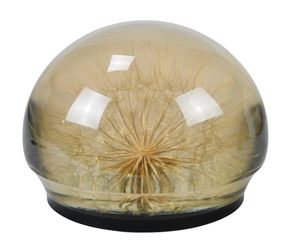Vintage Tarax Infinity Dandelion Puff Paper Weight (1 of 8)