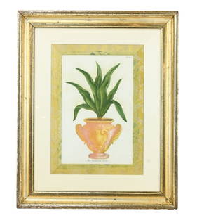 18th C Johann Wilhelm Weinmann Mezzotint: 18th Century Johann Wilhelm Weinmann Mezzotint Aloe Tuberosa Levis in Period Frame with Fortuny Fabric Mat. Measures 23 inches x 19 inches.