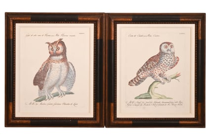 Pair Saverio Manetti Hand Colored Engravings Owls