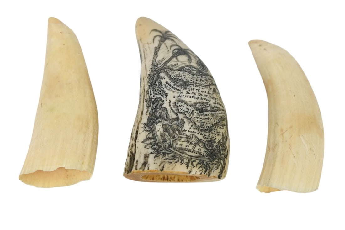 2 Natural Whale Teeth & Resin Scrimshaw Tooth: 2 Natural Whale Teeth & One Resin Scrimshaw Whale Tooth. Resin tooth measures 6 inches x 3 inches.