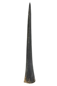 Natural Marlin or Swordfish Spear Tusk.