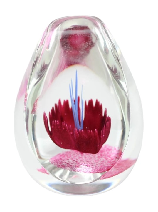 Caithness Scotland Fantasy Orchid Paperweight: Caithness Scotland Fantasy Orchid Collectors Paperweight Signed and Numbered 166. Measures 4 inches x +3 inches in diameter.