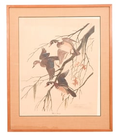 After John A. Ruthven Offset Lithograph Wood Ducks