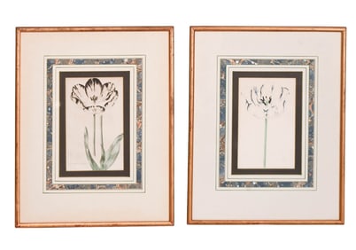 2 Antique Framed Botanicals of Tulips