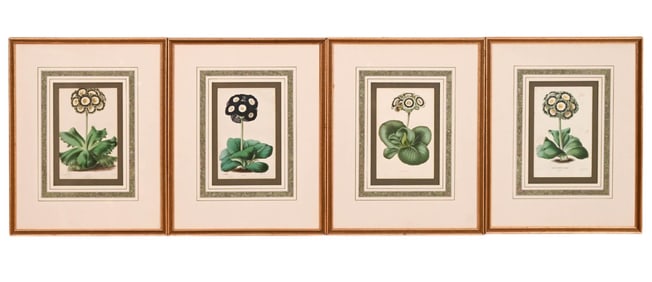 4 Antique Jas. Andrews Framed Botanicals Primose