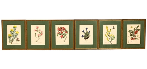 6 Framed Botanical Prints
