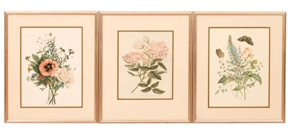 3 Antique Matching Printed & Framed Botanicals