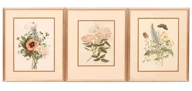 3 Antique Matching Printed & Framed Botanicals (1 of 10)