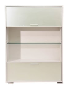 Modern Enclosing Glass Cabinet with Shelves