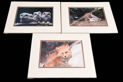 3 Rick & Jill Jackson Signed Numbered Photo Prints