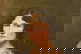 item-208611683=12