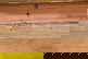 item-208611683=7