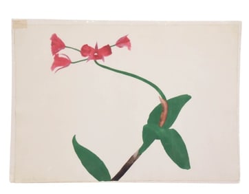 Ed Baynard Orchid Aquatint in Colors on Wove Paper