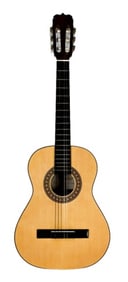 Classic Acoustic Guitar