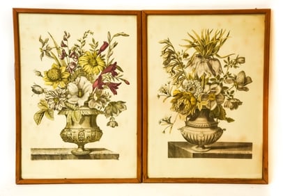 2 18th C. Nicolas Robert Botanical Engravings
