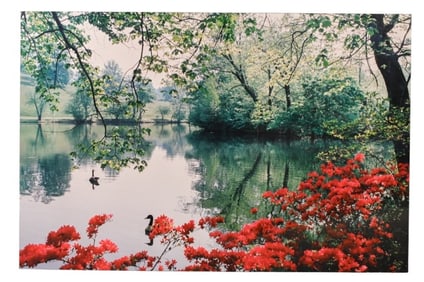 Robin Constable Hanson Mural Size Photgraph