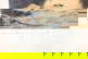 item-210510423=8
