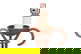 item-210975173=2