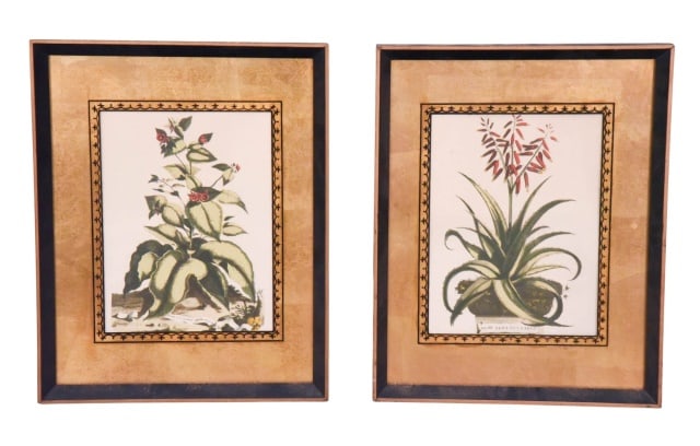 Pair Abraham Munting Botanicals in Eglomise Frames (1 of 14)