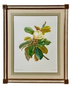 Dianne McElwain Signed Watercolor Painting Magnoli