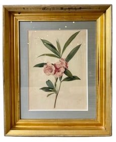 Att Marie-Anne Libert Watercolor Painting Rose Bay