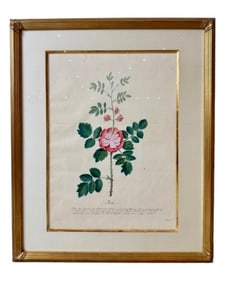 Pierre Francois LeDouix Signed Watercolor Rose
