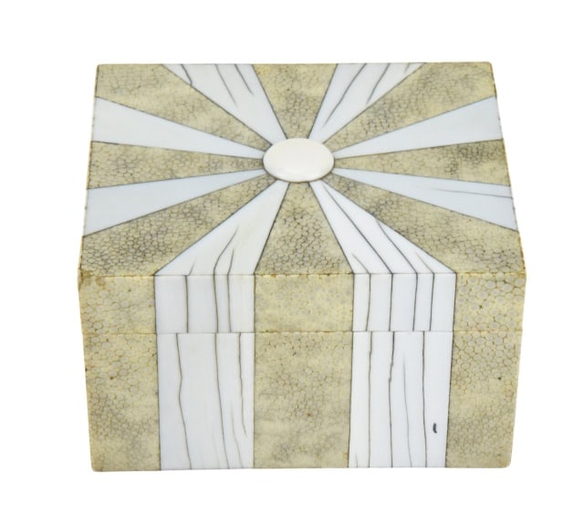 Natural Shagreen Shark Skin & Bone Table Box