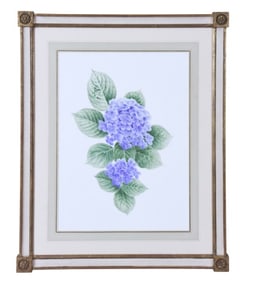 Mang Hang Ho Watercolor Painting Blue Hydrangea