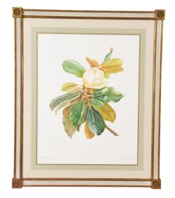 Dianne McElwain Signed Watercolor Painting Magnoli