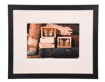 Theresa Segal Signed Serigraph Butterfly's