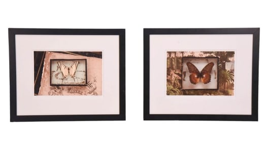 2 Theresa Segal Signed Serigraphs Butterfly's