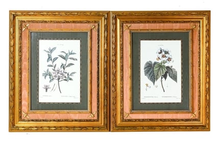 Pair Trowbridge Style Cushion Frames w Botanicals