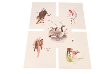 5 Signed Wildlife Lithographs Taylor, Hines, More