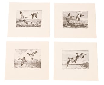4 John Collette Signed Engravings Pintail Ducks
