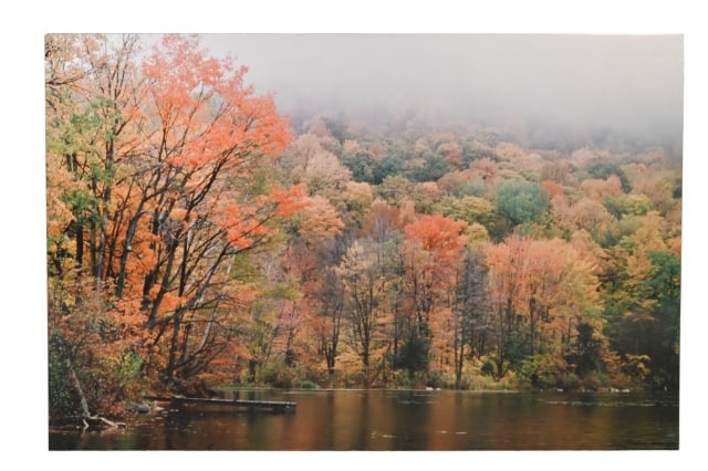 Robin Constable Hanson Mural Size Photograph (1 of 9)