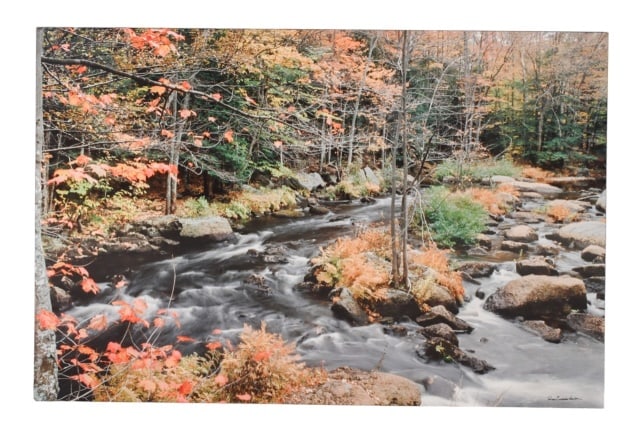 Robin Constable Hanson Mural Size Photograph: Robin Constable Hanson, Niece of Ansel Adams, Mural Size Photograph on Board. Measures 40 inches x 60 inches.